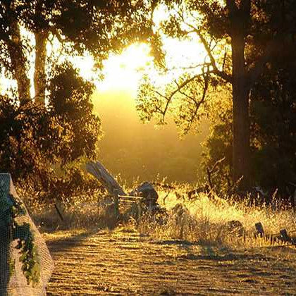 Blackwood Valley 2025 Single Bottle